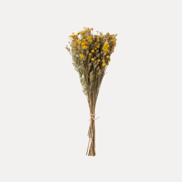 shop49-product41-1 Product Image